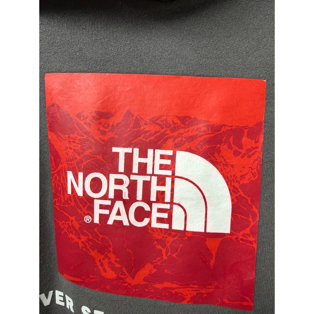 Men's North Face Hoodie Size XL - Picture 3 of 5
